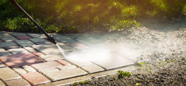 Best Driveway Cleaning and Restoration in Herald Harbor, MD